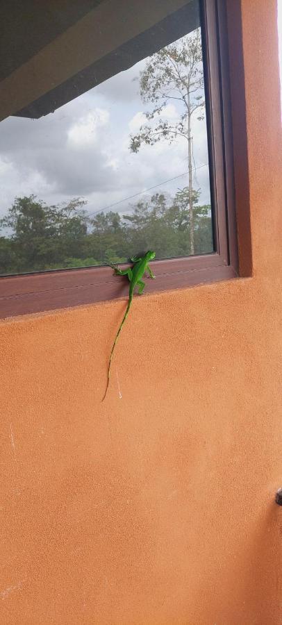 Green Leaf House La Fortuna المظهر الخارجي الصورة